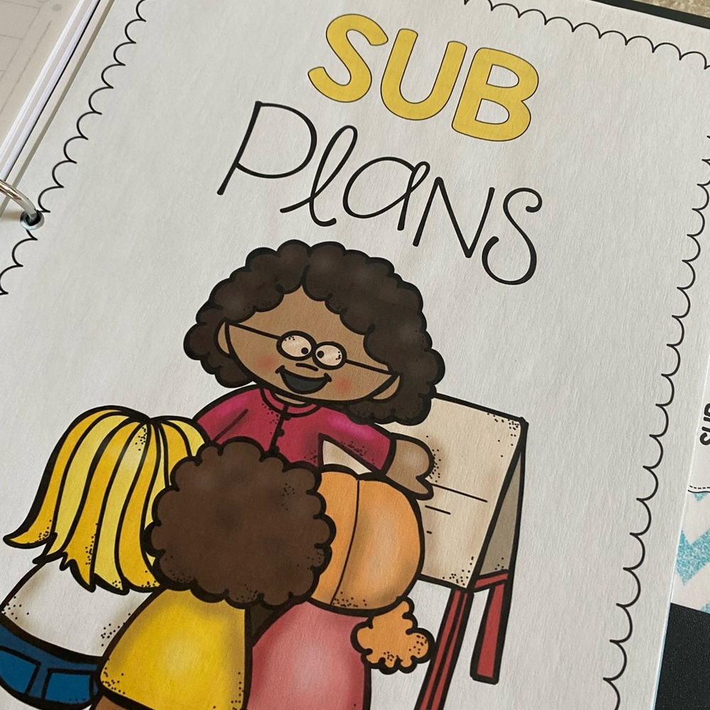 TEACHER GRAB BAG Substitute Teacher Binder - Picture 4 of 15